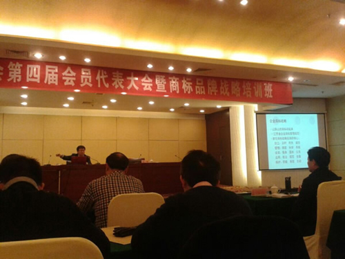 星光積極參加泰州市商標(biāo)協(xié)會第四屆會員代表大會1